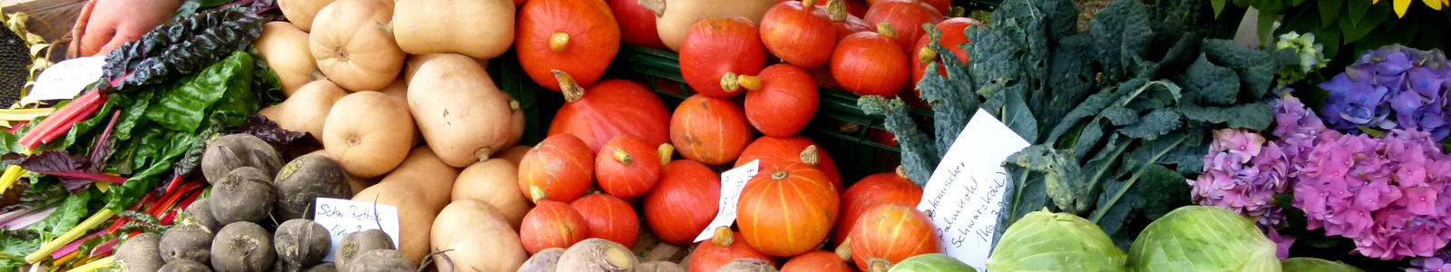 Kürbisse, Rote Bete und Weisskohl © Dienstleistungszentren Ländlicher Raum